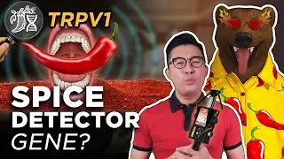 Why You Can (or Can't) Eat Spicy Food | DNA Food Genetics - Spice Detector Gene (TRPV1)