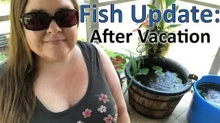 After Vacation: Fish Tank and Patio Pond Update