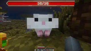 Grey conoce al hamster (el d!avl0) de Capitan Gato 