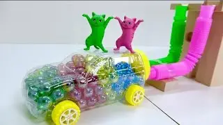 Marble Run Race ASMR ☆ HABA Double Wave Slope & Pop Tube, Skeleton Car