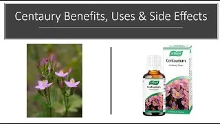 Centaury - Benefits, Uses & Side Effects