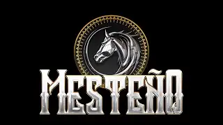 MESTE&Ntilde;O- POPURRI DE RAMON AYALA (feat. RETO&Ntilde;O & LOS DELTA BOYZ)