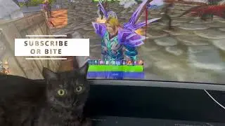 Warsong Mage Vibe 🔊 | WoW Classic  PvP Battleground