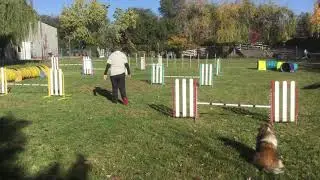 Event #109693. Course #1. 11/20/20