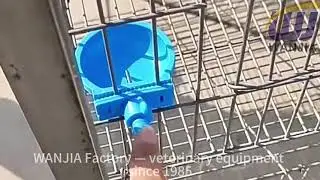 Rabbit Nipple Drinker | Automatic Rabbit Watering System | WANJIA Factory Since 1985