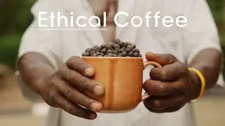 From Seed To Cup | Seed Coffee Co