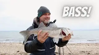 Park Shore - Bass - hunting for the elusive Solent flounder and finding only winter bass