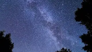 summer insect - cicadas buzzing sound - Night of June