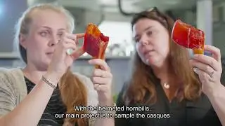 Conservation Forensics&nbsp;Helping&nbsp;to&nbsp;Fight&nbsp;Illegal Wildlife&nbsp;Trafficking (Highlight ver.)