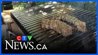 Sask Oil Seeds - Outdoor cooking recipes