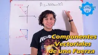 Descomposici&oacute;n Vectorial de una Fuerza PASO A PASO para Principiantes  - Salvador FI