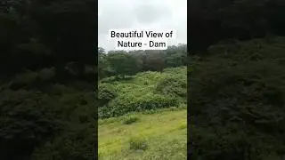 Beautiful scenic view Nature | Most Peaceful Moments