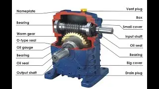 Worm Gear Reducer-WP Series Gearbox