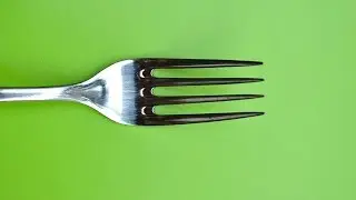 BostonTalks: Forcasting Food