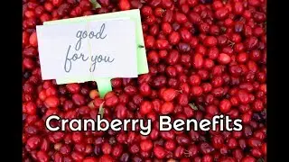 Cranberry Health Benefits for Your Whole Body - Heart and Thyroid Advantages of this Tart Fruit