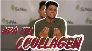 APA ITU COLLAGEN??