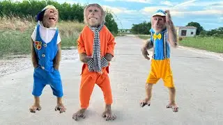 Cutis's Best Video 2025! Smart, Handsome and Funny Monkey 🙊