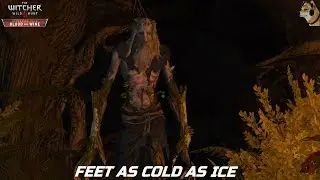 The Witcher 3 Wild Hunt &ndash; Feet as Cold as Ice