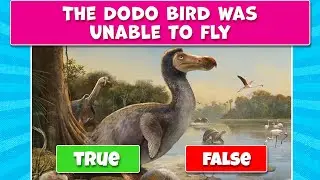 80% Will Fail This! TRUE or FALSE Quiz - Extinct Animal Trivia - Brain Teasers | Party Games