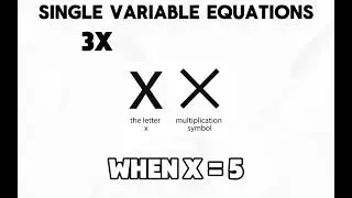 Singular and Multi Variable Equations: Basic Algebra #1
