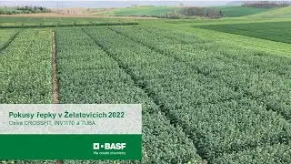 Pokusy řepky v Želatovic&iacute;ch 2022