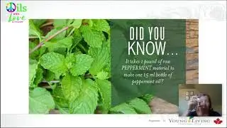 Essential Oils 101 - Peppermint