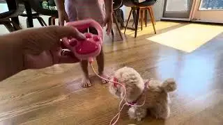 YH YUHUNG Walking Dog Toy for Kids with Leash, Super cute walking dog toy with leash