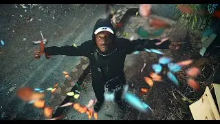 The One Futur feat @darviofficiel9464  - portail (street clip)