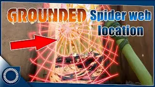 GROUNDED  | Where to easily find Spider silk.