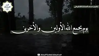 يوم يجمع الله الأولين والأخرين | للشيخ: محمد المختار الشنقيطي