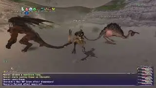 Final Fantasy XI #556, Cape Teriggan: Cockatrices and Manticores; To White Mage Level 76