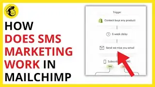 How Does SMS Marketing on Mailchimp Work [QUICK GUIDE]