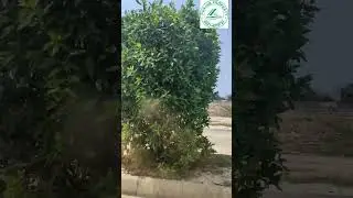 5 Marla Plot for sale Bahria Town Lahore