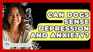 Can Dogs Sense Depression And Anxiety? - Stress Free Mindset