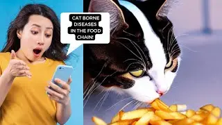 Animal Diseases in the Food Chain