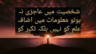 Top Urdu Quotes About Finding Your Voice is |@sohbateoliya