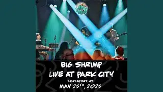 Visions (Live) (Live)