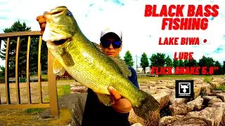 PESCARIA DE BLACK BASS - LAKE BIWA JAPAN - LURE FLICK SHAKE 5.8`` JACKALL - MONTAGEM WACKY