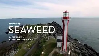 Supreme Source Dog Food | Super Seaweed