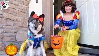 Kakoa's Pretend Play Halloween Trick or Treating!