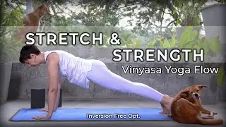 15 min Yoga Stretch and Strength Flow - No standing yoga - Inversion Free Opt