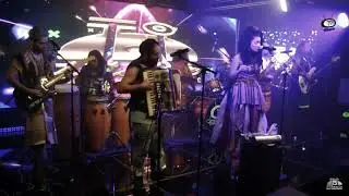 BuenRostro Vibra la Tierra [Live Video]