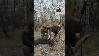 Fallow deer hunt in Hungary | Damhirschjagd in Ungarn | D&aacute;mszarvas vad&aacute;szat Magyarorsz&aacute;gon #hunting