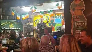 Molly Malone Tenerife