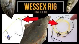 Sea Fishing Rig Guide - WESSEX RIG A two minute rig that works