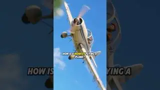 Monkey Fly&rsquo;s A Plane ✈️ #monkeystories #monkey #subscribe