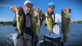Fishing with Taro Murata: The Angry Karen, BIG FISH, Physical Violence Edition.  Key Tips Shared!