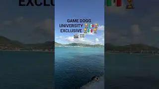 BULLDOGG NETWORK 🇲🇽 MEXICO 🇲🇽 🎬 EXCLUSIVE INTERVIEWS 🎬