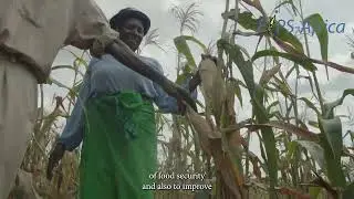 FIPS Update: The role of the VBA and an agrodealer