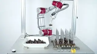 3D Disorderly Grabbing with JAKA Cobots | Flexible Robotic Picking & Automation Applications
